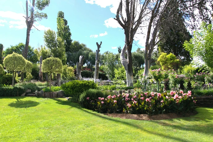 green grass field with trees and flowers